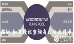 专家独家揭秘：如何轻松查询自己的比特币钱包