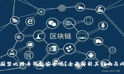 中国禁比特币钱包安全吗？全面解析其影响与风险