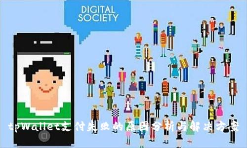 tpWallet支付失败的原因分析与解决方案