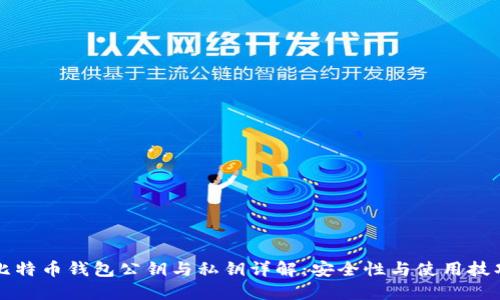 比特币钱包公钥与私钥详解：安全性与使用技巧
