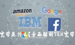 TRX钱包里的宽带是什么？全面解析TRX宽带的功能