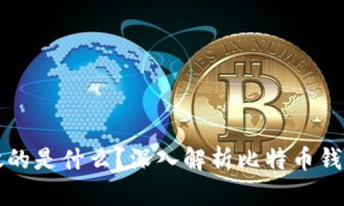 比特币钱包存放的是什么？深入解析比特币钱包的功能与类型