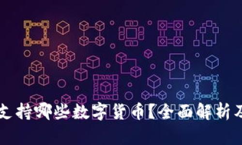 tpWallet支持哪些数字货币？全面解析及使用指南