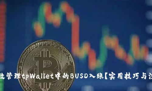 如何高效管理tpWallet中的BUSD入账？实用技巧与注意事项