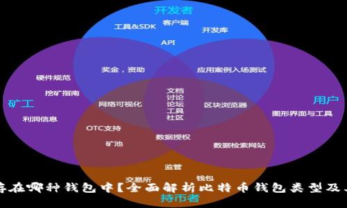 比特币存在哪种钱包中？全面解析比特币钱包类型及其安全性