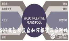 USDT钱包被盗后如何报案及应对措施