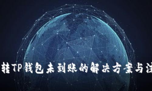 SHIB币转TP钱包未到账的解决方案与注意事项