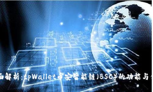 全面解析：tpWallet币安智能链（BSC）的功能与优势
