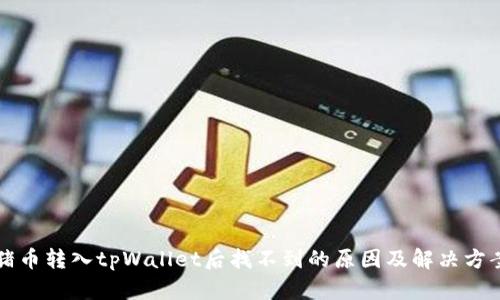 猪币转入tpWallet后找不到的原因及解决方案
