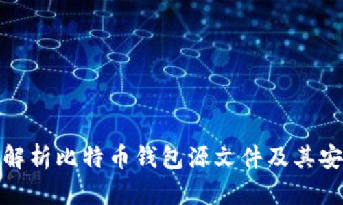全面解析比特币钱包源文件及其安全性