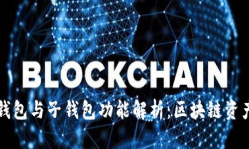 tpWallet母钱包与子钱包功能解析：区块链资产管理新选择